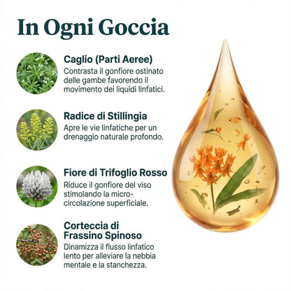 BioLinfa – Il tuo gesto quotidiano